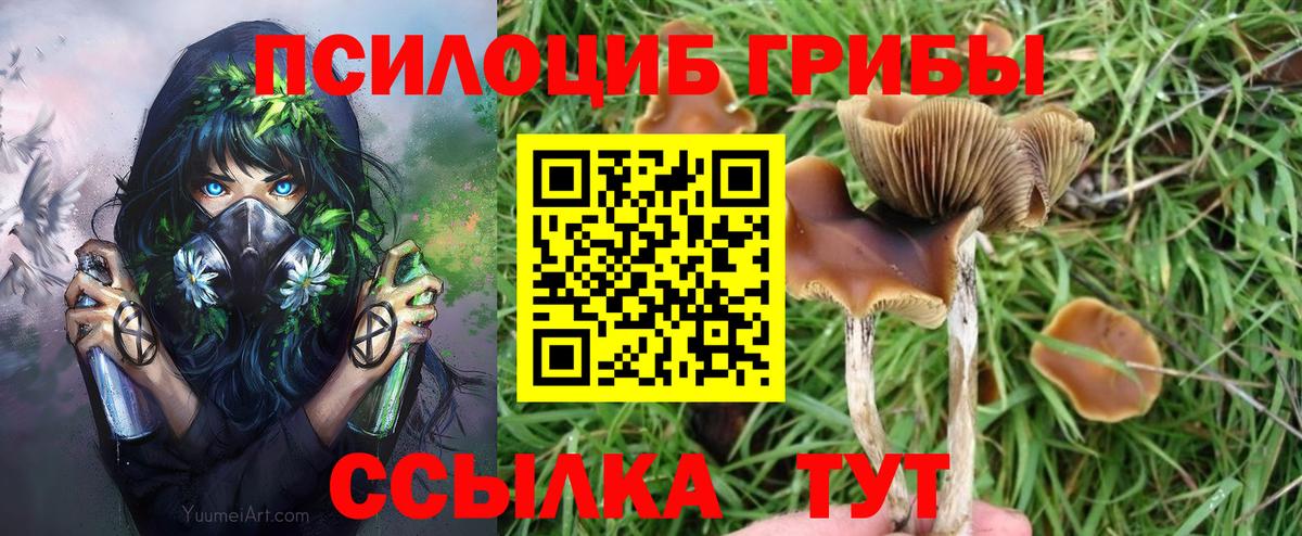 Псилоцибиновые грибы мухоморы Ростов-на-Дону